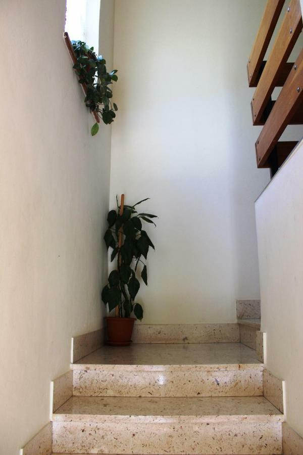 Apartments Markov Murter Luaran gambar